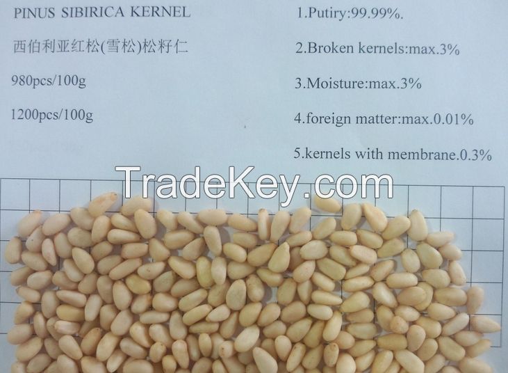 Cheap Pine Nuts Prices/Chinese Pinenut Kernels, new crop 2014