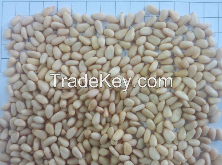 Cheap Pine Nuts Prices/Chinese Pinenut Kernels, new crop 2014