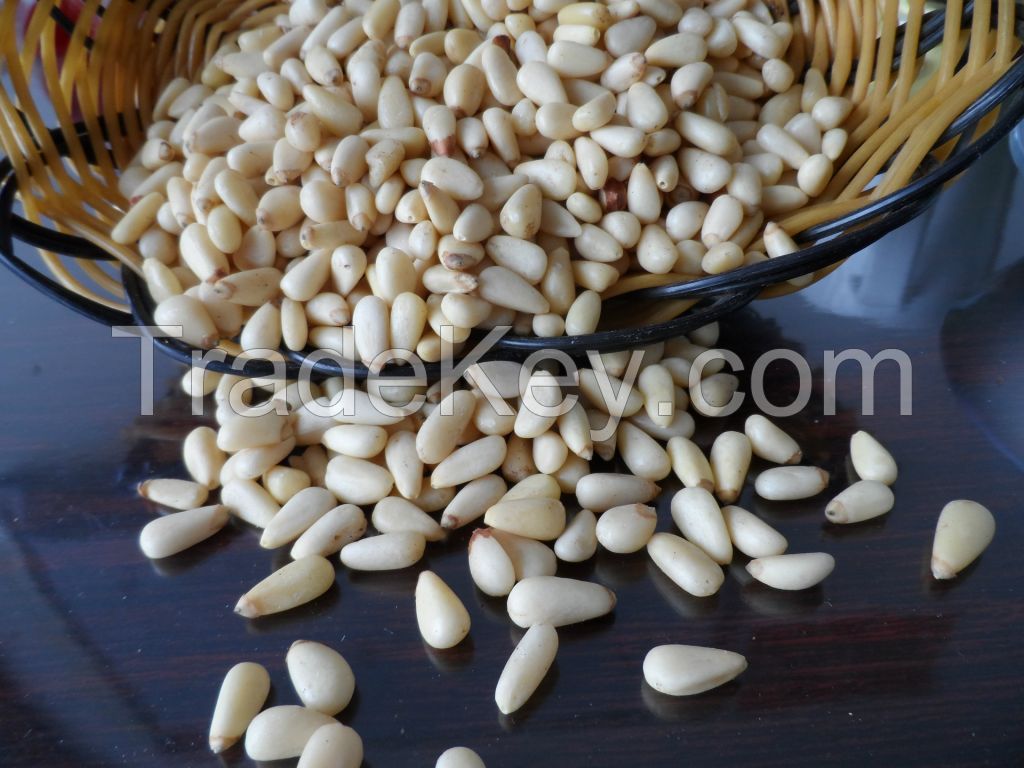 Pine nuts kernels for sale ,without shell 