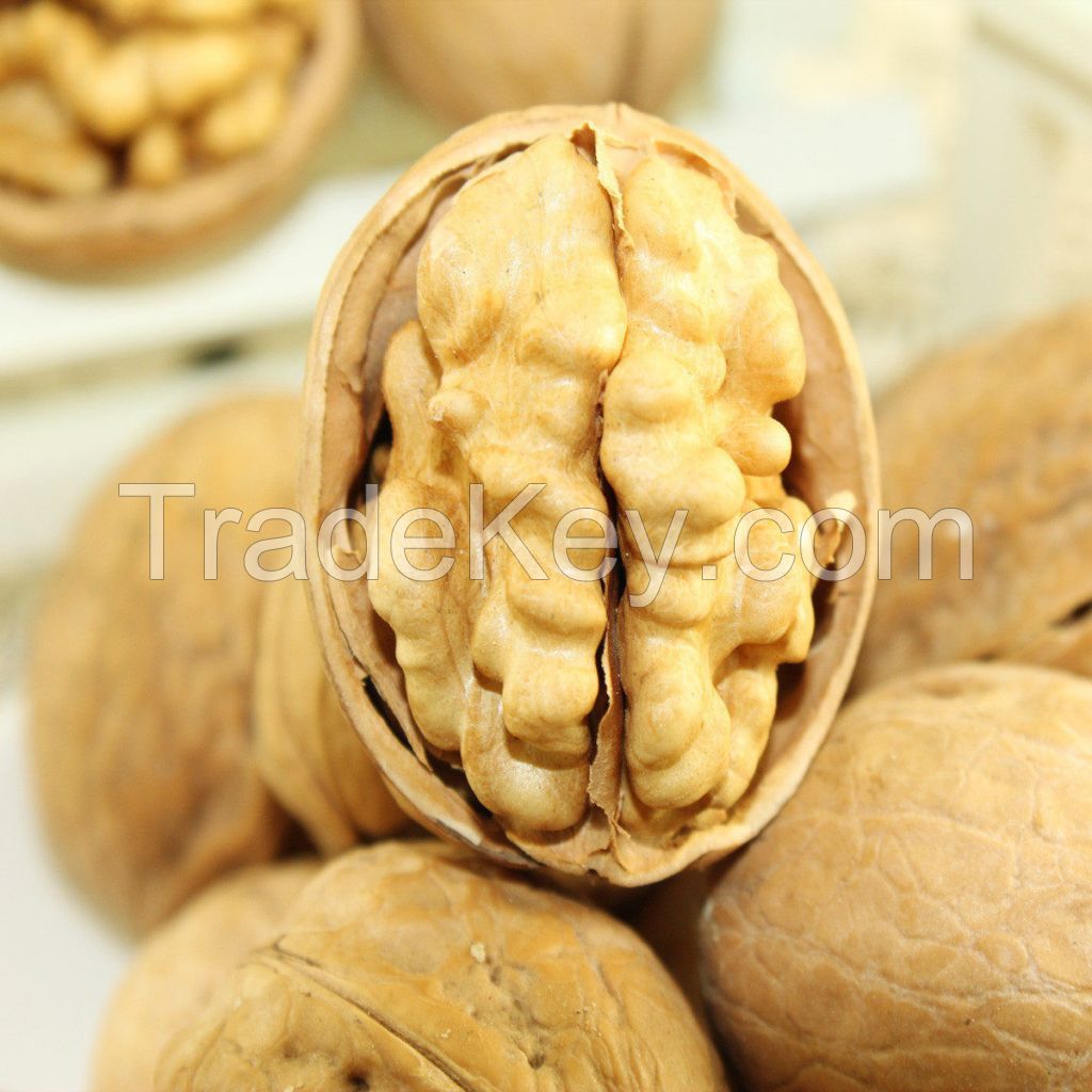 New crop Wholesale Walnut kernel price