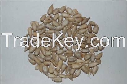 2014 New crop big sunflower seed kernel with low price for Oil 