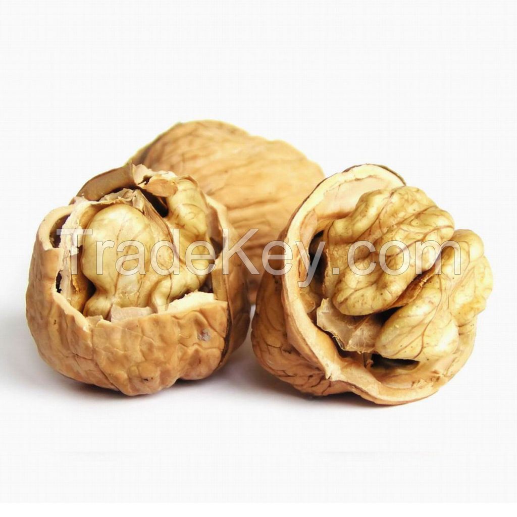 New crop Wholesale Walnut kernel price