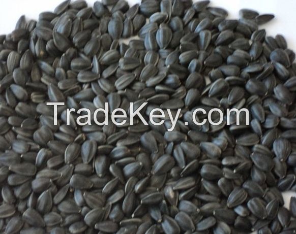 2014 New crop black sunflower seed