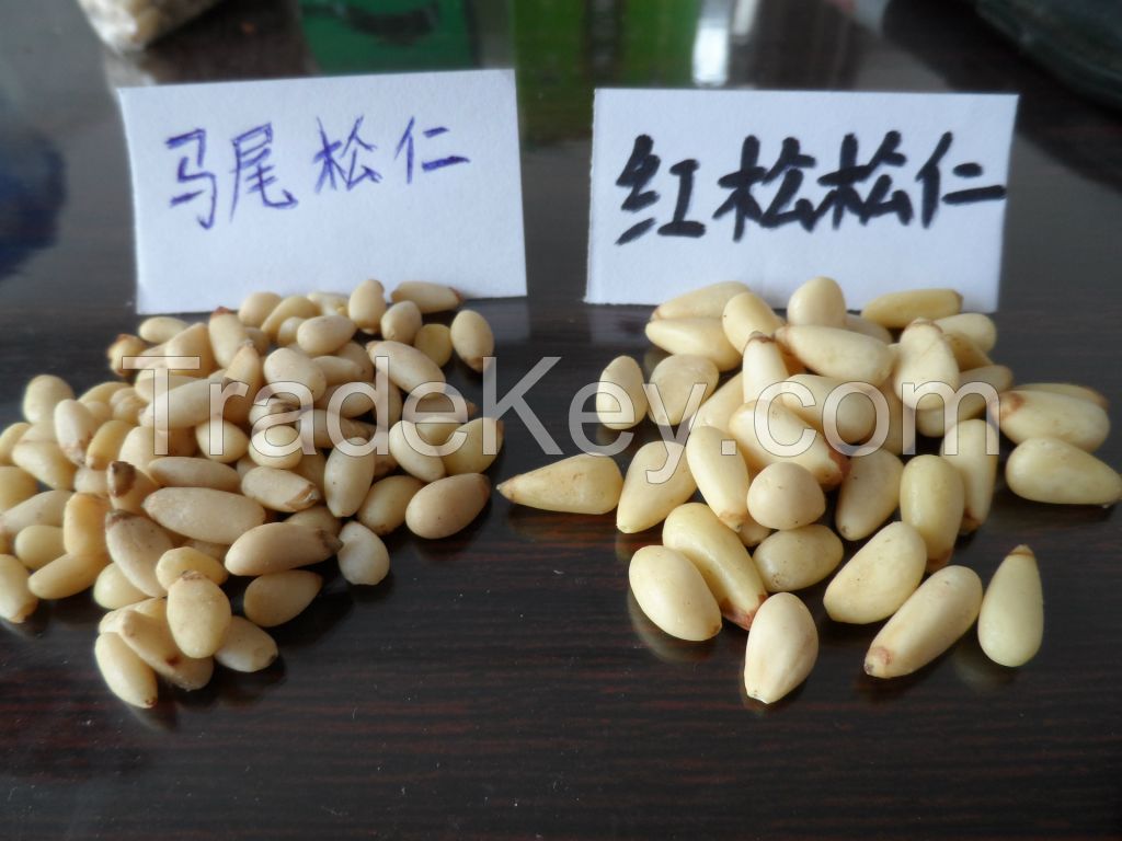 Pine nuts kernels for sale ,without shell 