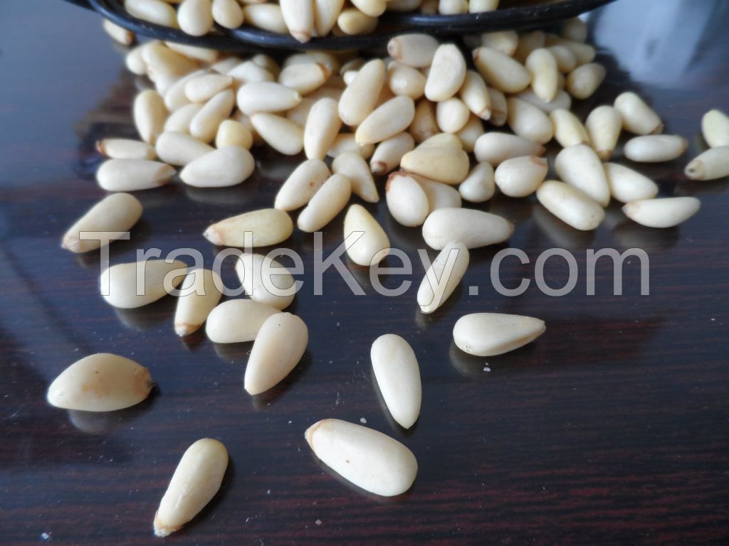 Pine nuts kernels for sale ,without shell 