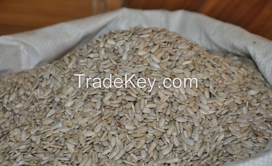 2014 New crop big sunflower seed Long Shape 5009 24/68