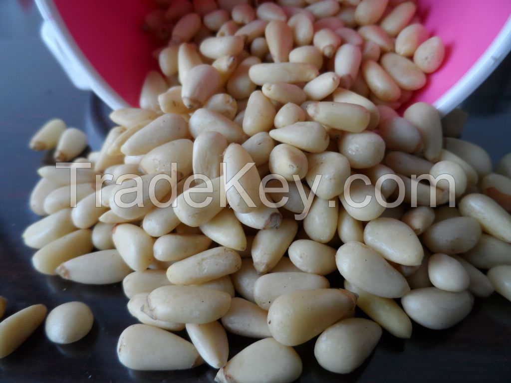 pine nuts prices/China pine nuts prices/pine nuts prices new crop 2014