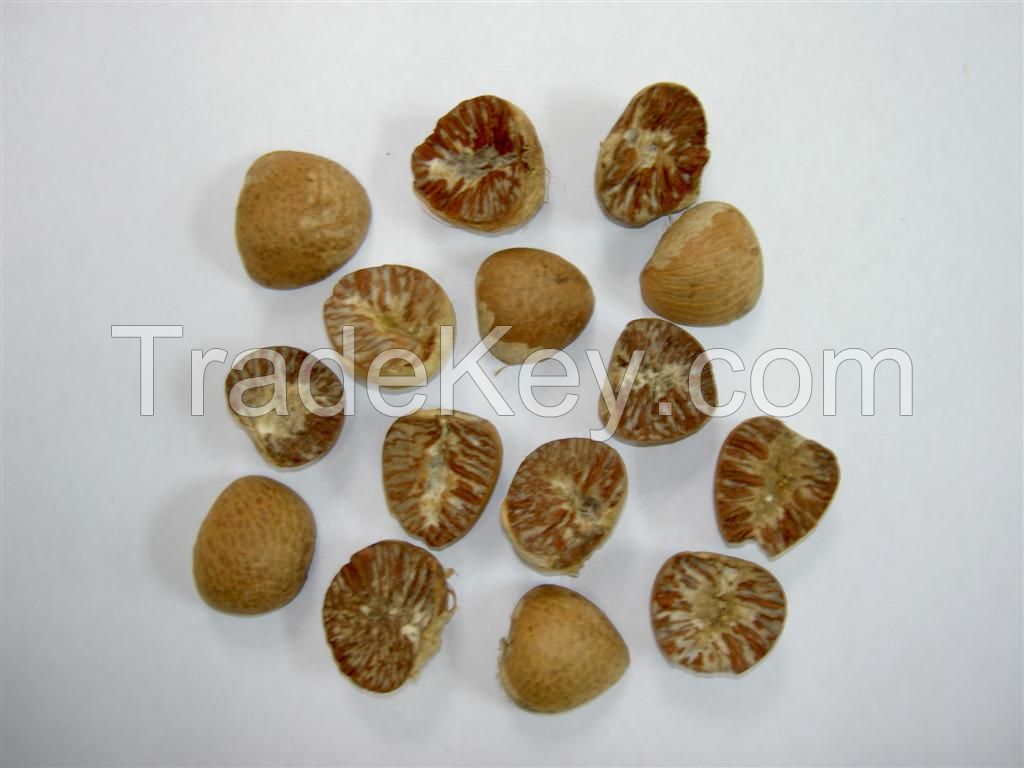 Dried Betel Nut Split / Whole Dried Betel nuts