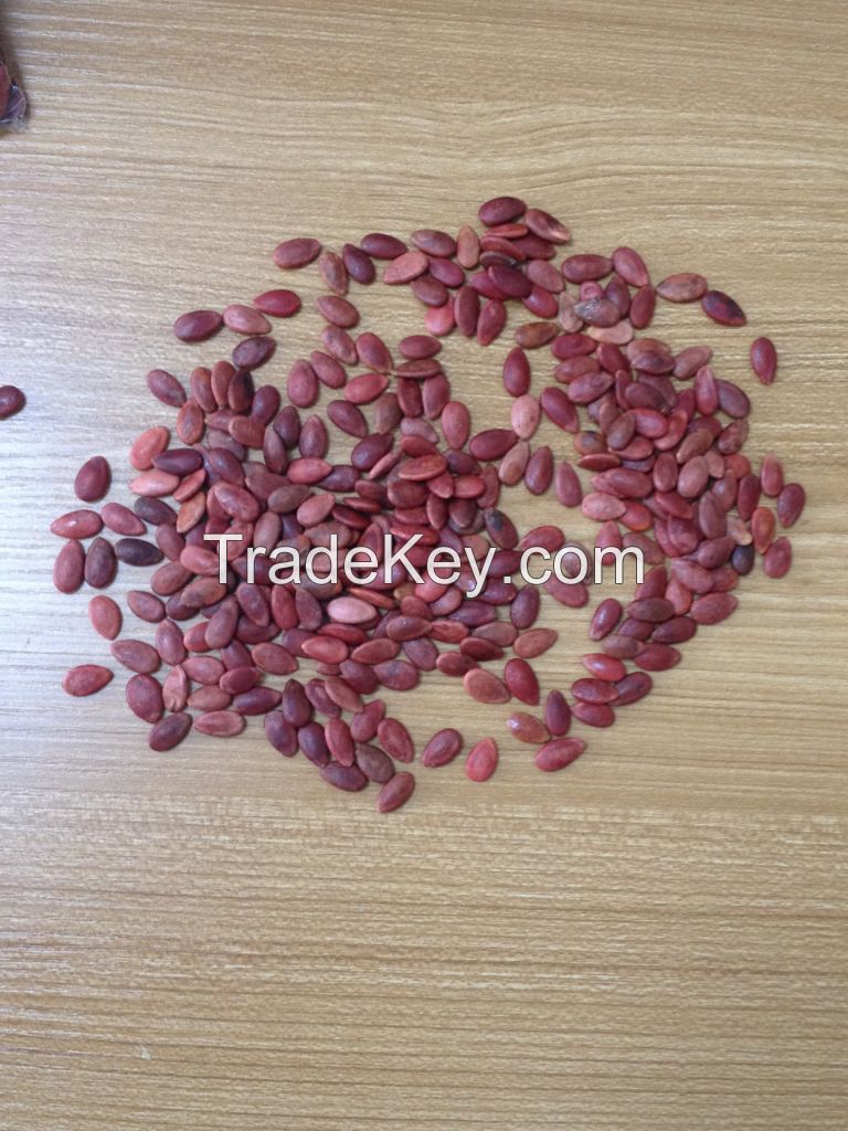 Black / Red Watermelon seeds