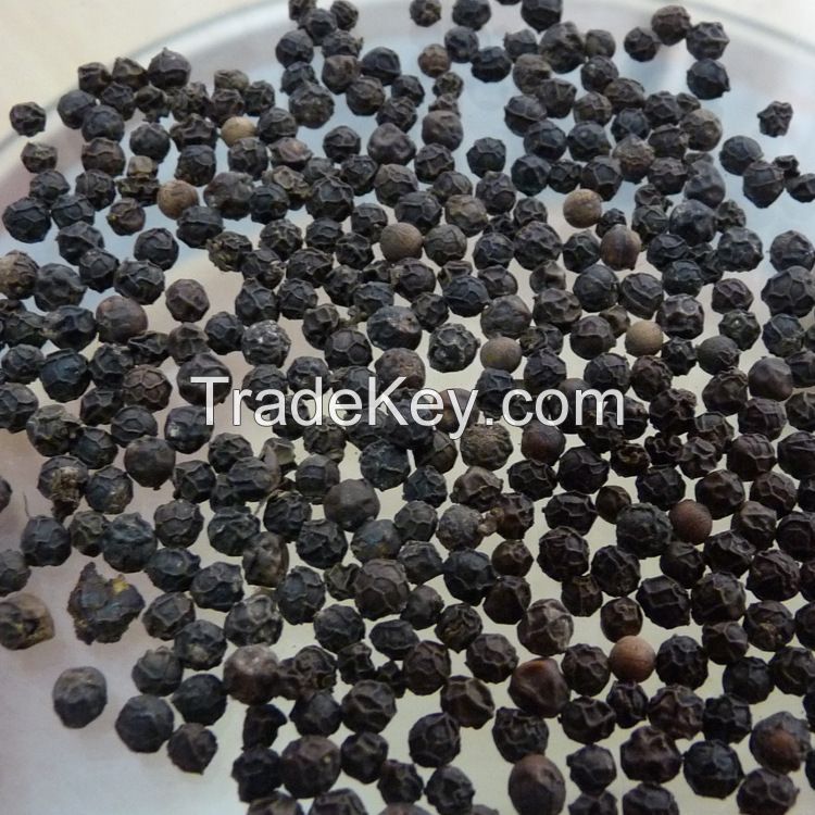 Whole Dried Black Pepper seed Prices