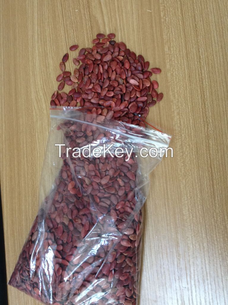 Red Watermelon Seeds from China 2014 new crop