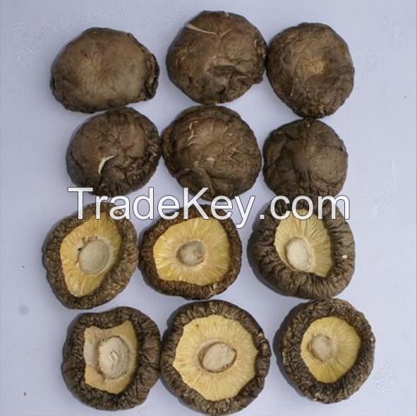 100% natural Shiitake Mushroom ,with free samples