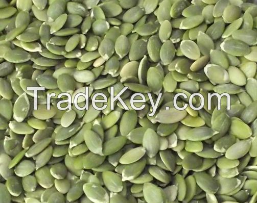 New Crop Hulled Pumpkin Seeds Kernels  AAA Grade