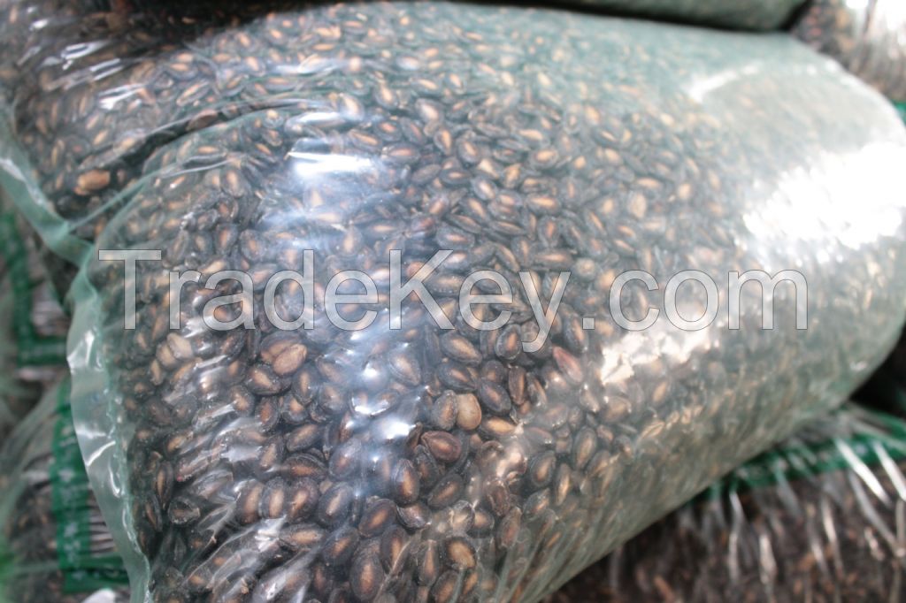 Dried, unroasted watermelon seeds with cheap price