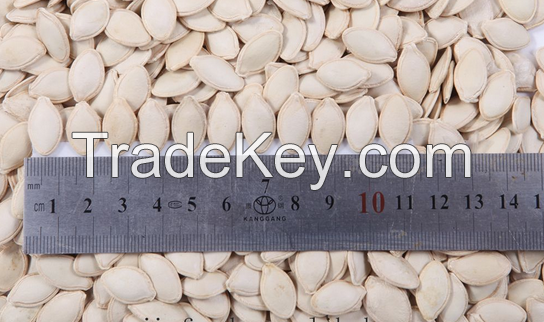 Pumpkin seed kernels with low price and high quality