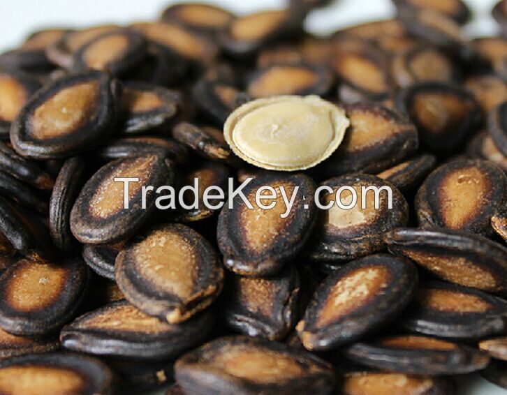 Dried, unroasted watermelon seeds with cheap price