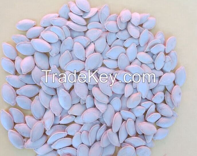 2014 New Crop High Quality Shine Skin Pumpkin Seeds /  White Snow Pumpkin Seed
