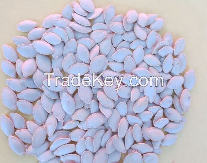 Pumpkin seed kernels with low price and high quality