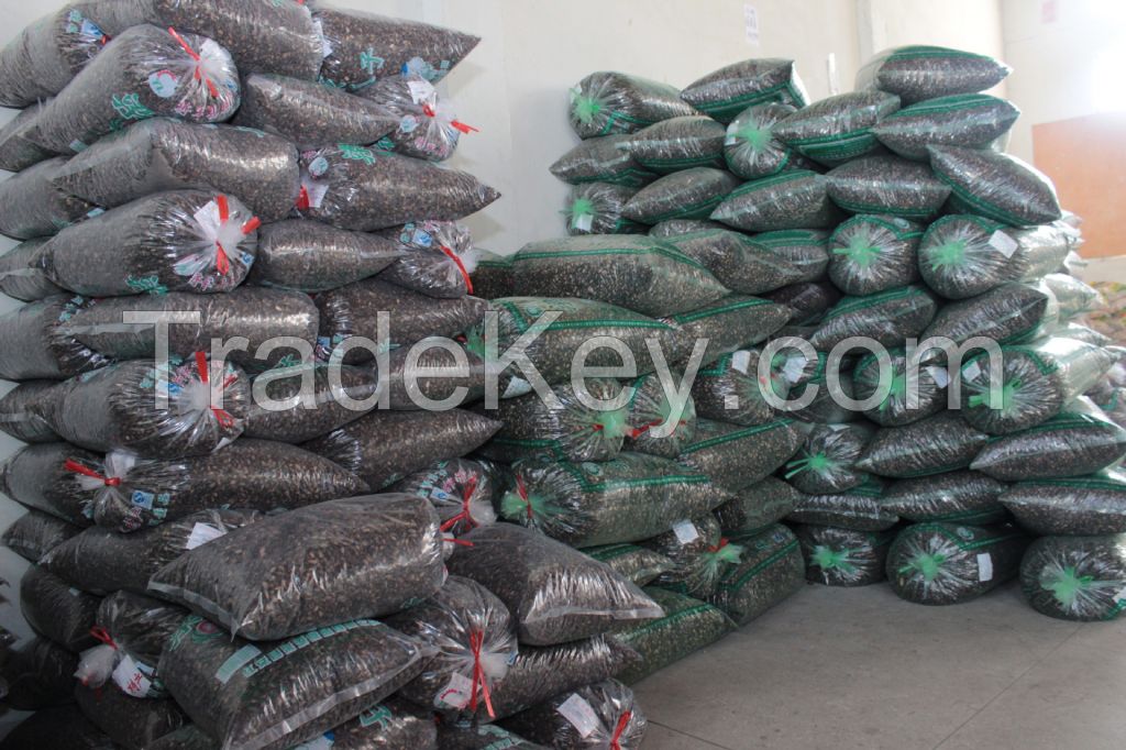 2014 new crop black watermelon seeds