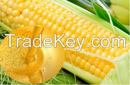 refined corn oil / cooking oil / vegetable oil