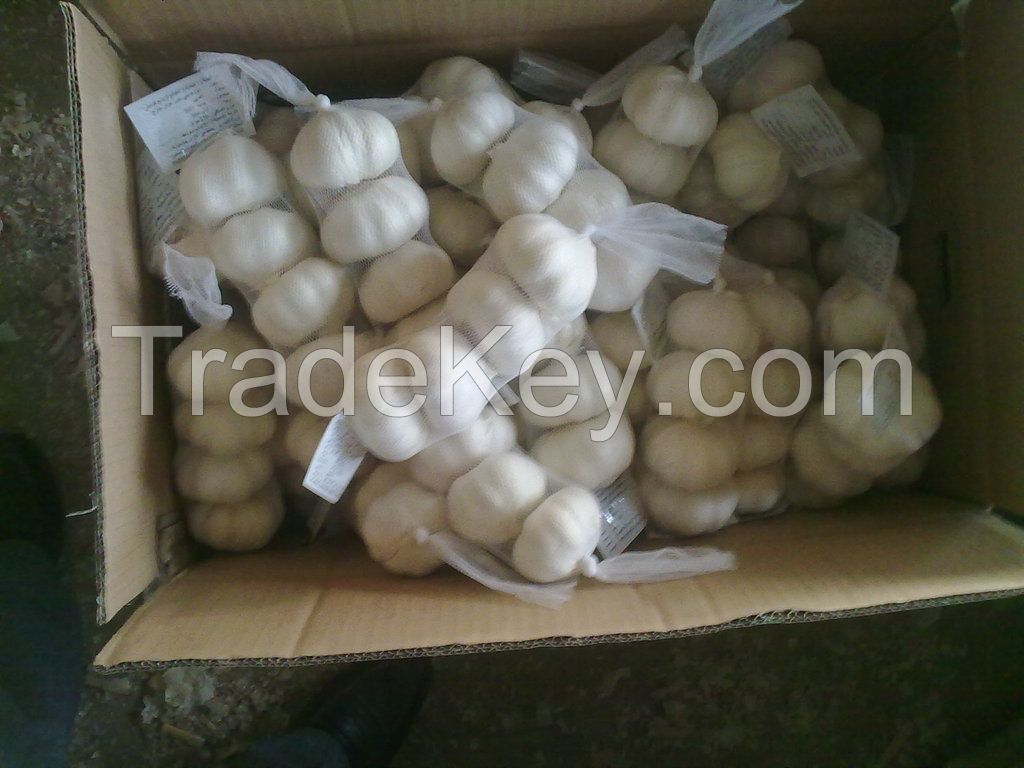 fresh Chinese garlic/natural garlic/wihte garlic