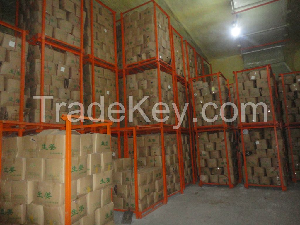 Fresh Ginger Factory from Shandong