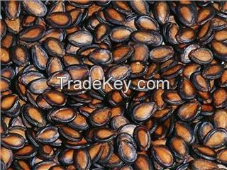 Natrual bulk black melon seeds 11cm