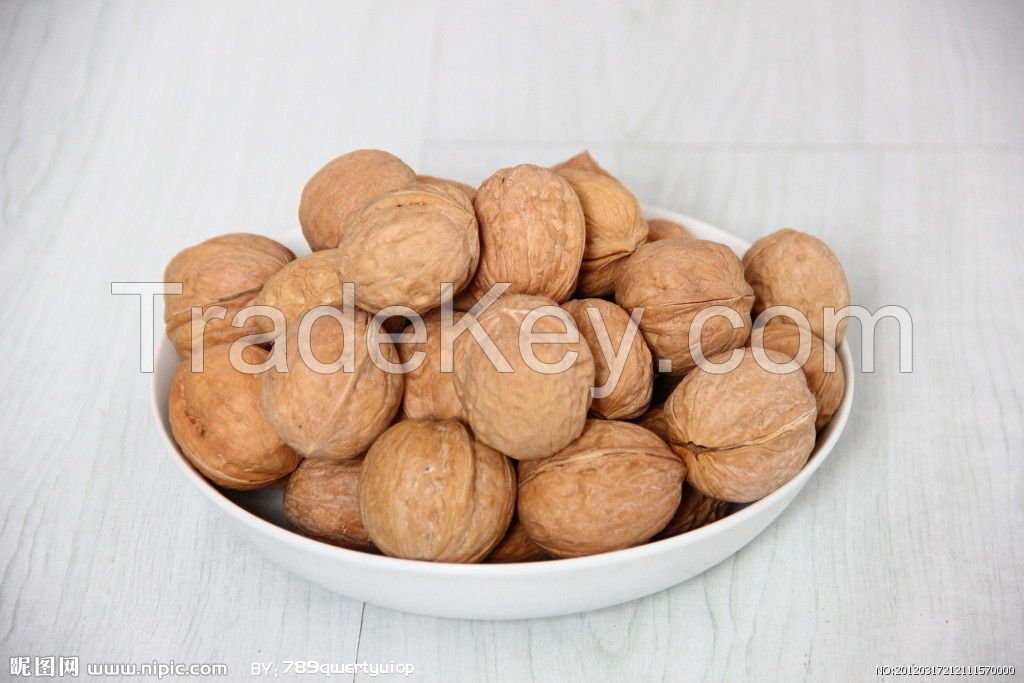 Walnuts, Peanuts, Sunflower seeds, Cashew Nut, Almonds