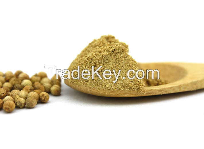 Organic dried coriander / coriander seeds /coriander extract