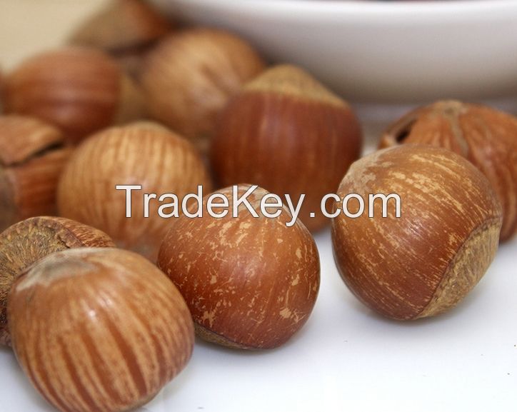 Hazelnut- 100% Organic- Grade A- High Quality