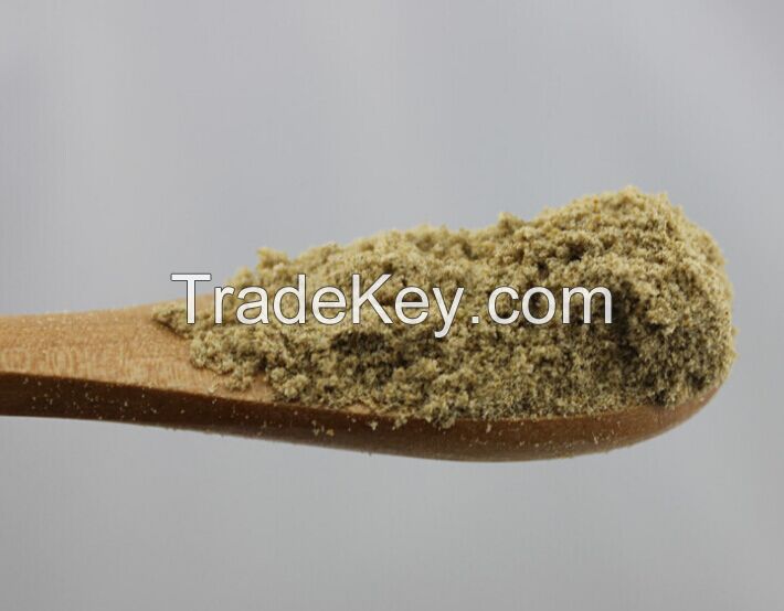 Organic dried coriander / coriander seeds /coriander extract