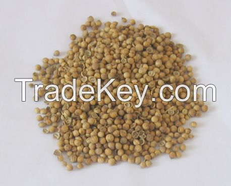 Organic dried coriander / coriander seeds /coriander extract