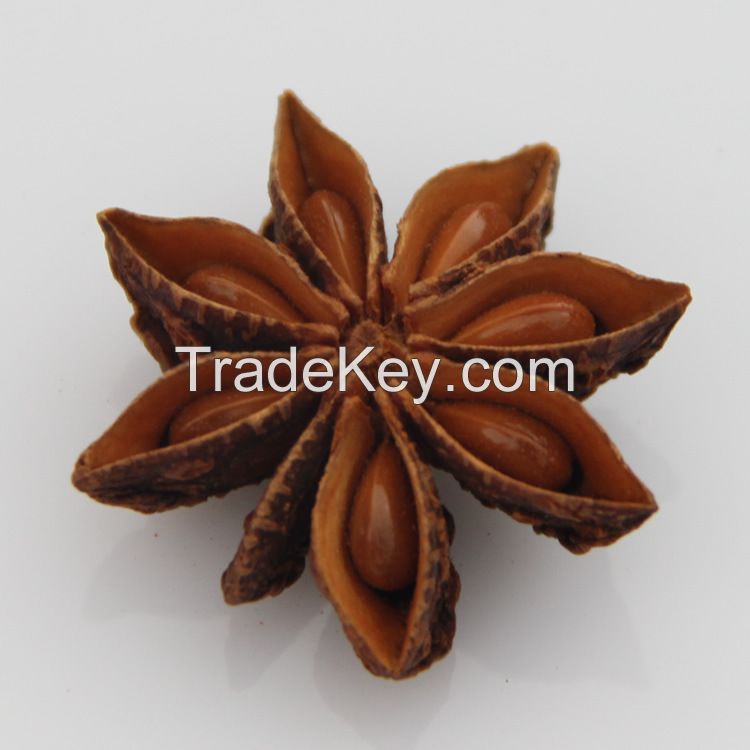 Dried Star anise,Coriander Seed,Cinnamon barks,Cumin Seeds