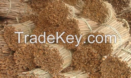 Dried stick shape Cassia