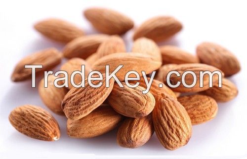 Top quality Almonds,2014 new wholesale raw almond,Organic China almond