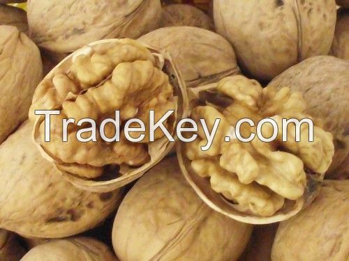  Walnut inshell/unshell  with HACCP,ISO ,SGS certificate.