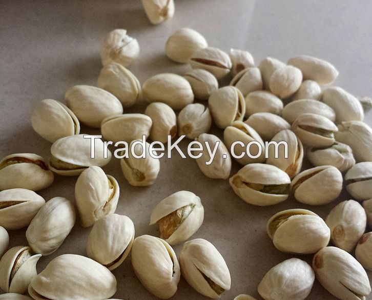 Hot Selling Top quality Pistachio Nuts