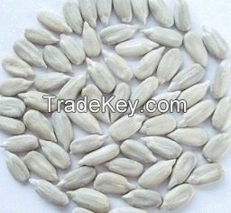 Sunflower seeds kernels