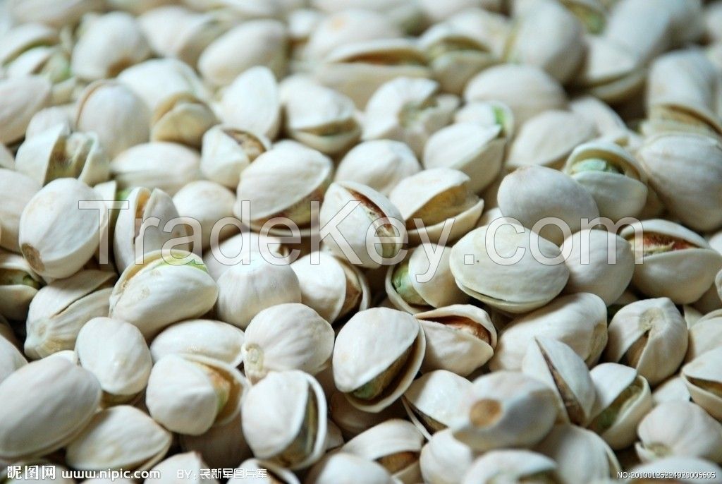 Pistachio,Pistachio & Kernel,Good Quality Pistachios Nuts / Raw and Roasted