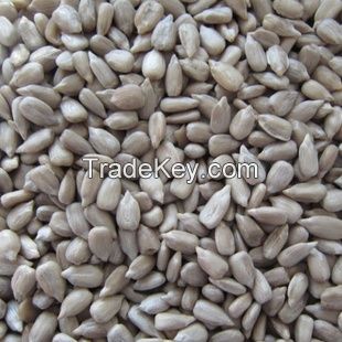 sunflower seeds kernel