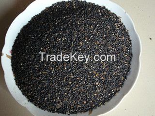 black sesame seed powder/black sesame seed extract/black sesame seed p.e.