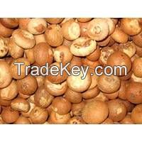 Betel Nuts / Supari from Indonesia. Good price and quality