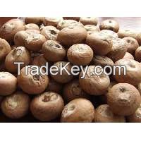 betel nut with best price and good quality from vietnam