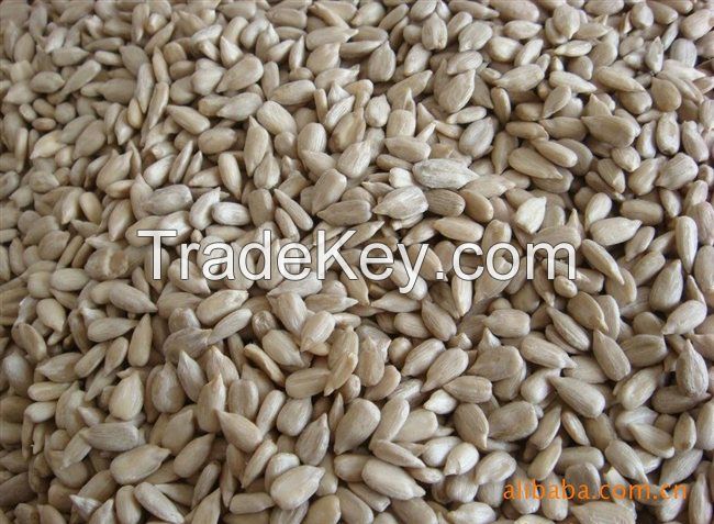 Sunflower Seeds Kernel Hight Quality, Roasted Price