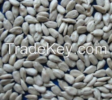 Sunflower Seeds Kernel ,2014 New Crop