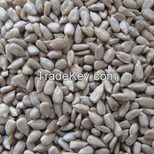 Sunflower seeds kernels