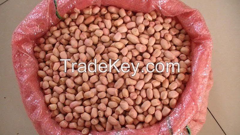 long type red skin china big size peanut