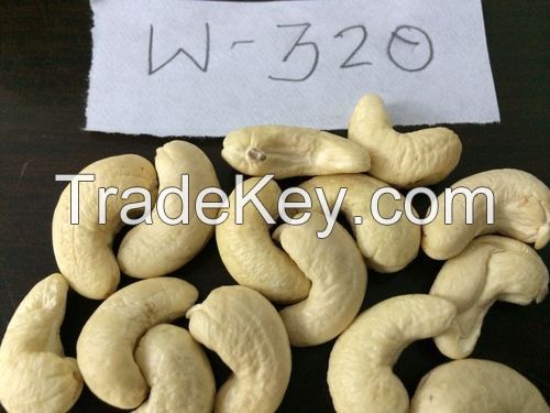 High Quality Raw Cashew Nuts w-240 cashew nuts