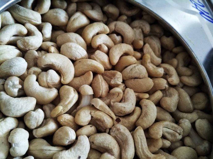 Dried Cashew Nuts /Cashewnuts W320