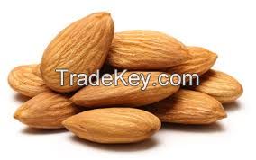 High/ great quality Raw Almond Kernels